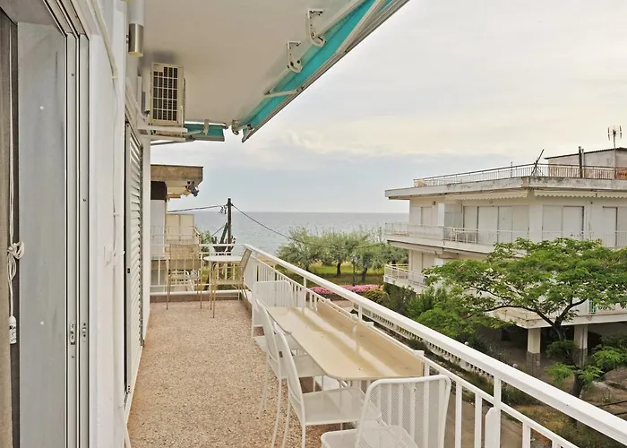 Themis 40 Steps From * 帕拉利亚狄奥尼索