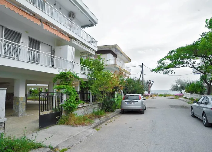 Themis 40 Steps From * 帕拉利亚狄奥尼索