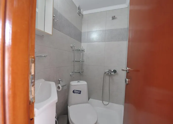 Themis 40 Steps From 帕拉利亚狄奥尼索